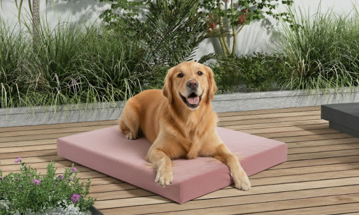 Outdoor Hundebett nach Maß