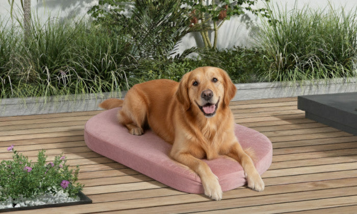 Ovale und runde Hundebetten - Outdoor